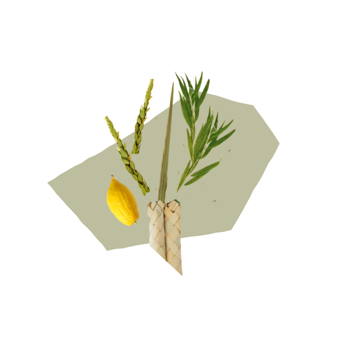 Arba Minim set