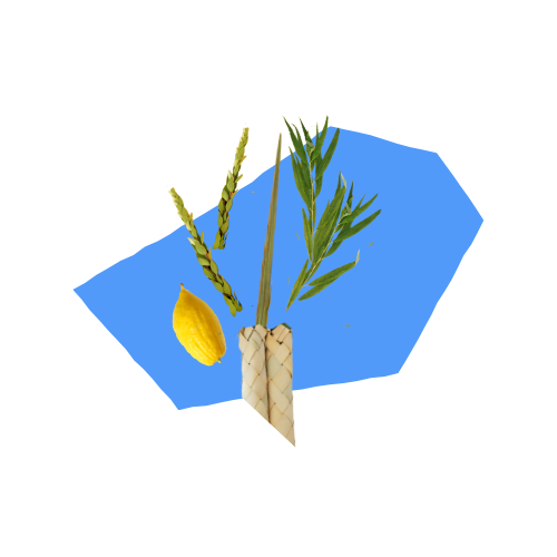 Chinuch set